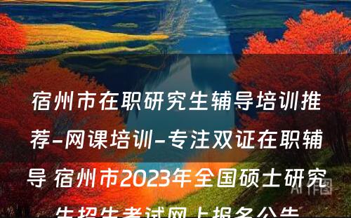 宿州市在职研究生辅导培训推荐-网课培训-专注双证在职辅导 宿州市2023年全国硕士研究生招生考试网上报名公告