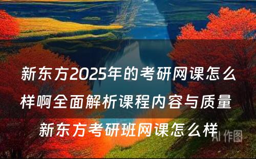 新东方2025年的考研网课怎么样啊全面解析课程内容与质量 新东方考研班网课怎么样