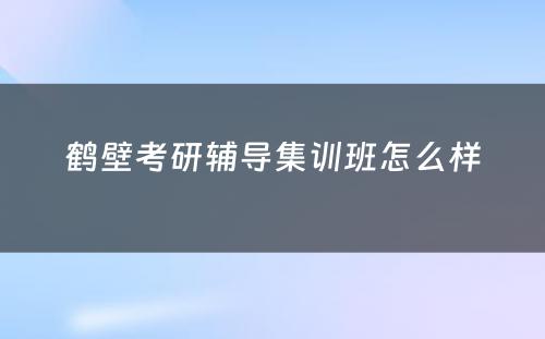 鹤壁考研辅导集训班怎么样