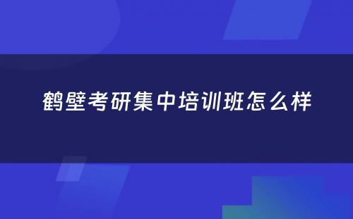 鹤壁考研集中培训班怎么样