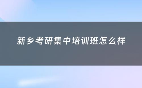 新乡考研集中培训班怎么样