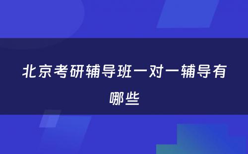 北京考研辅导班一对一辅导有哪些