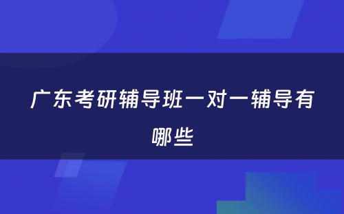 广东考研辅导班一对一辅导有哪些