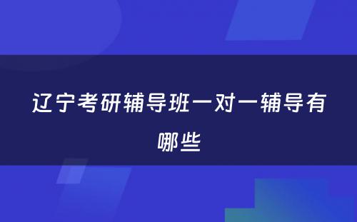 辽宁考研辅导班一对一辅导有哪些