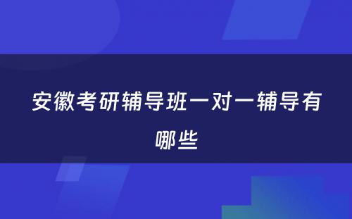 安徽考研辅导班一对一辅导有哪些