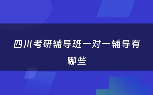 四川考研辅导班一对一辅导有哪些