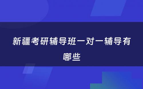 新疆考研辅导班一对一辅导有哪些