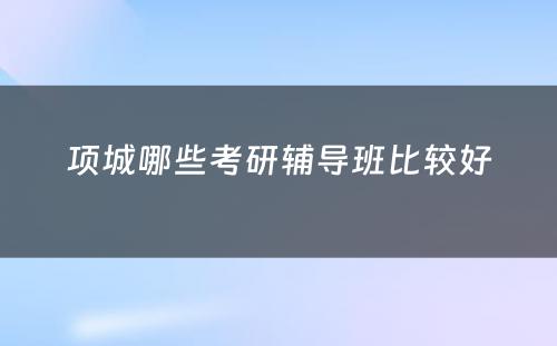 项城哪些考研辅导班比较好