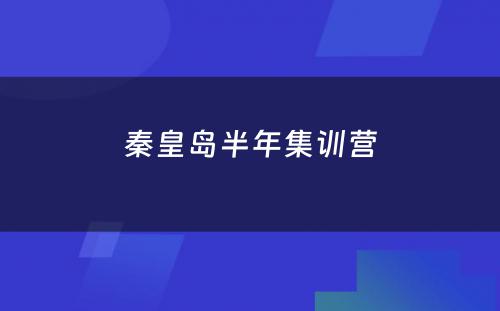 秦皇岛半年集训营