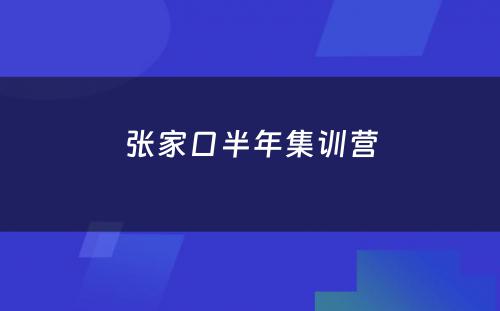 张家口半年集训营